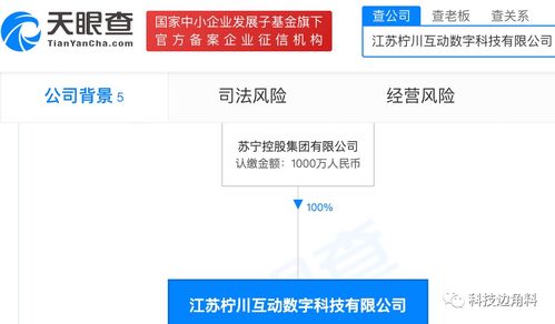 蘇寧控股布局數字文化新領域 檸川互動數字公司成立，拓展健身休閑與數字文創